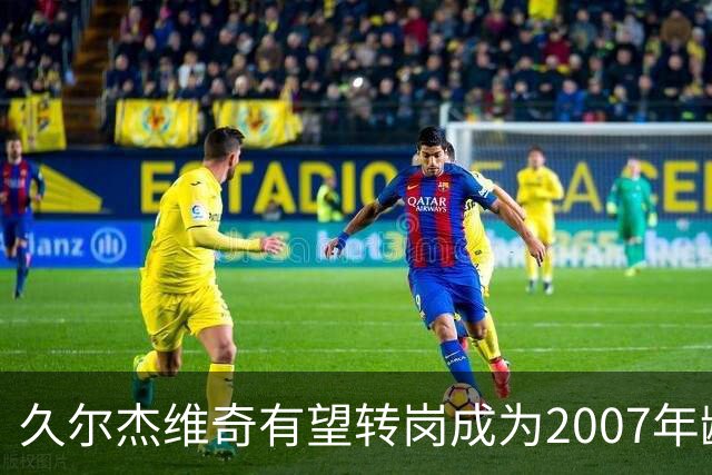 久尔杰维奇有望转岗成为2007年龄段国家队的主教练